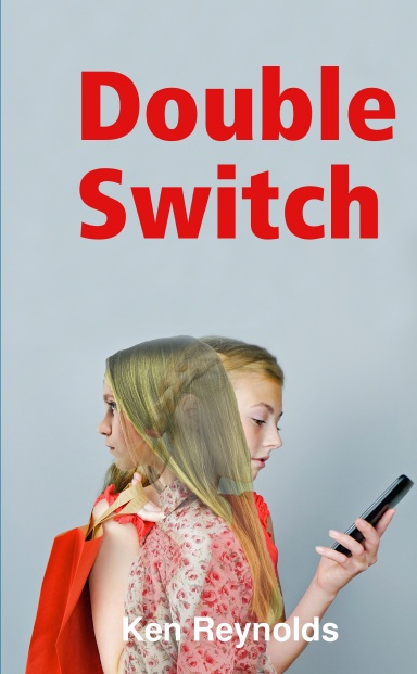 Double-Switch-cover