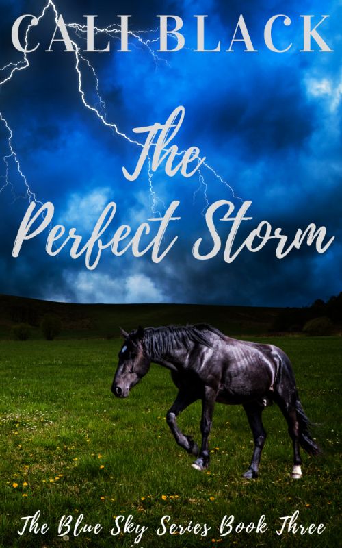 The Perfect Storm - Clean Romance Books